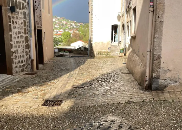 Triplex Au Coeur D'un Patrimoine Classe Appartement Aiguilhe