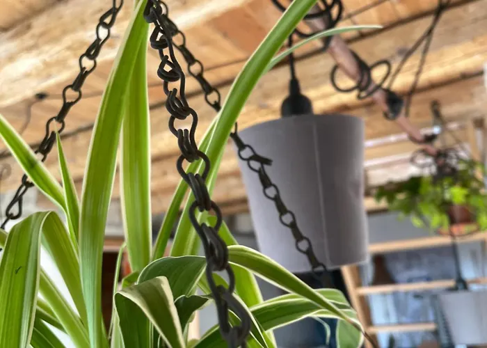 Апартаменты Triplex Au Coeur D'un Patrimoine Classe